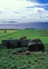 landscape travel image haystack sailboat Inishbofin Island Connemara Ireland by Diane Rose Landscape Travel Photographs