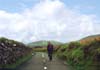 landscape travel image country lane Kerry Ireland by Diane Rose Landscape Travel Photographs