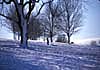 travel photo of winter landscape, snow, Massachusetts, MA, Maine, Rhode Island, New England, USA, United States, U.S., by Diane Rose Photographs