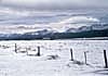 landscape travel image of Collegiate Peaks Colorado, snow, winter landscape of snow fence USA, United States, U.S., by Diane Rose Photographs
