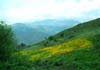 landscape travel picture of wild flowers in Amari valley, Crete, Greece, Europe by Diane Rose Photographs