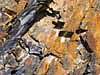 abstract image quarry stone slate shale taken in Wales by Diane Rose Photography