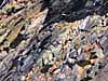 abstract image stone quarry wall slate shale by Diane Rose Photographs