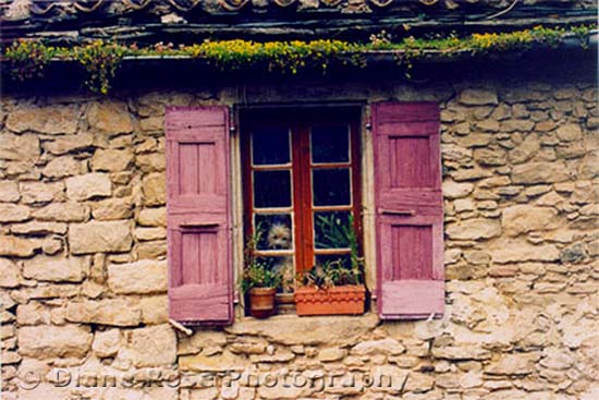 travel photo of dog in window, picture France, Europe by Diane Rose Photographs